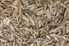biomass boilers Eskdalemuir